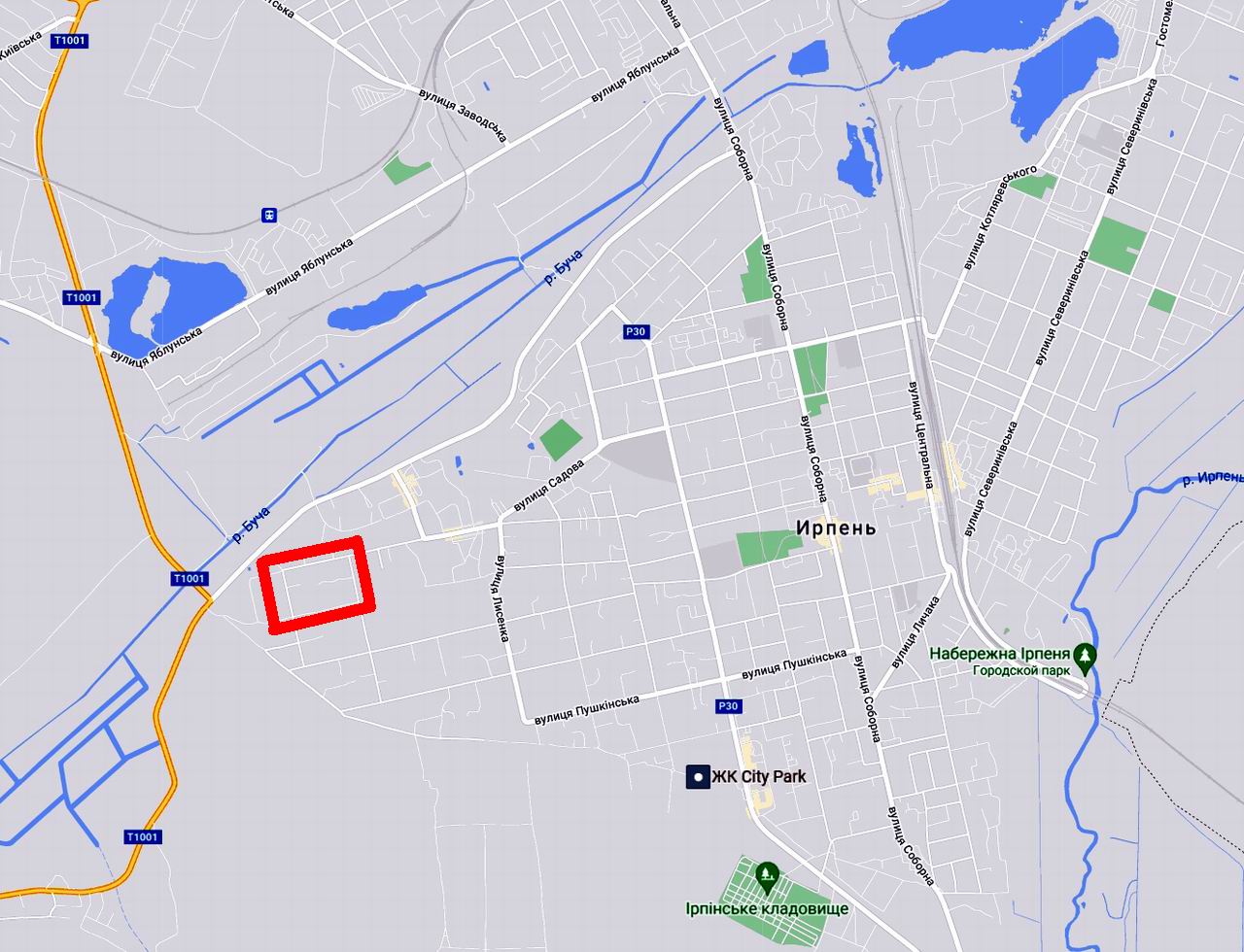 Гугл-карта 2