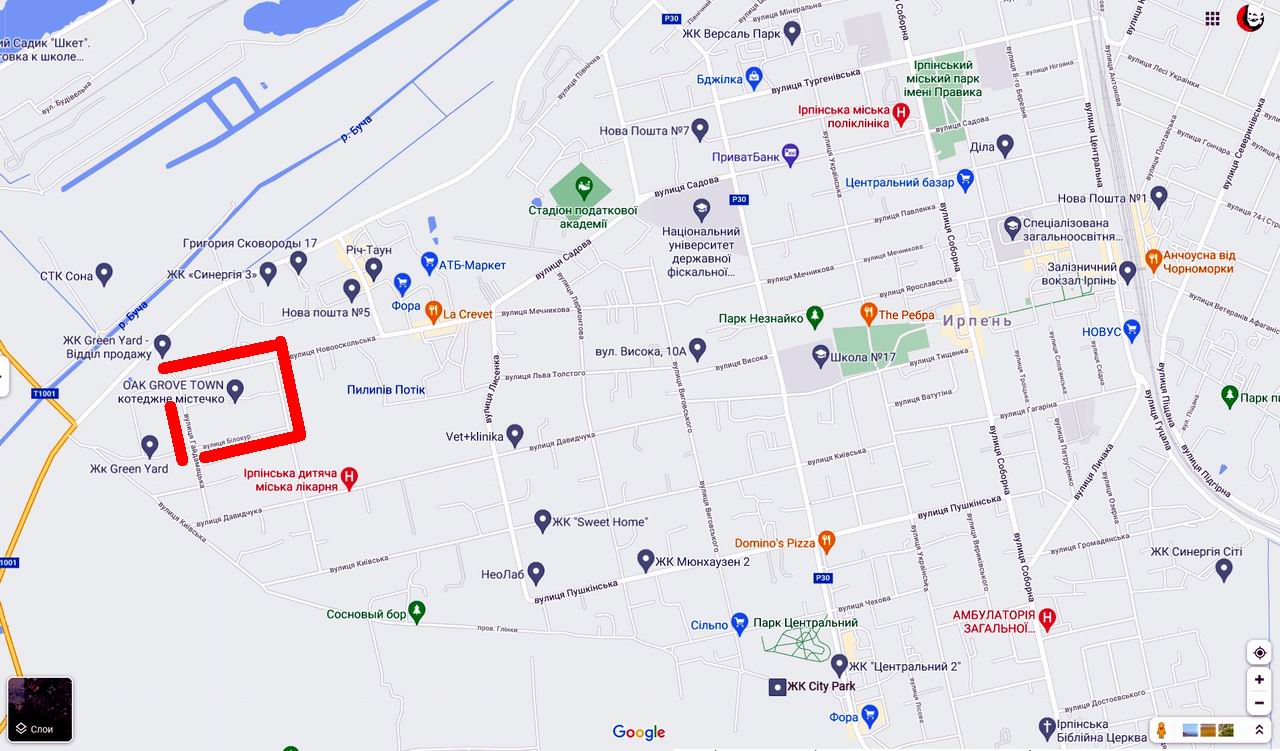 Гугл-карта 3